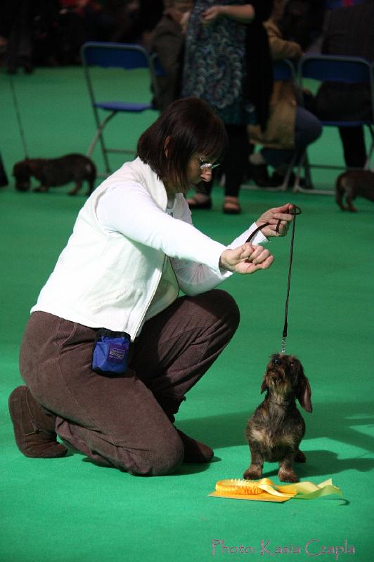 Crufts2011_2 711.jpg